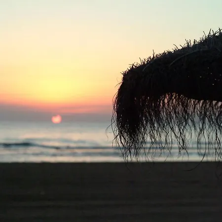 Ag Sirenas Playa de Gandia